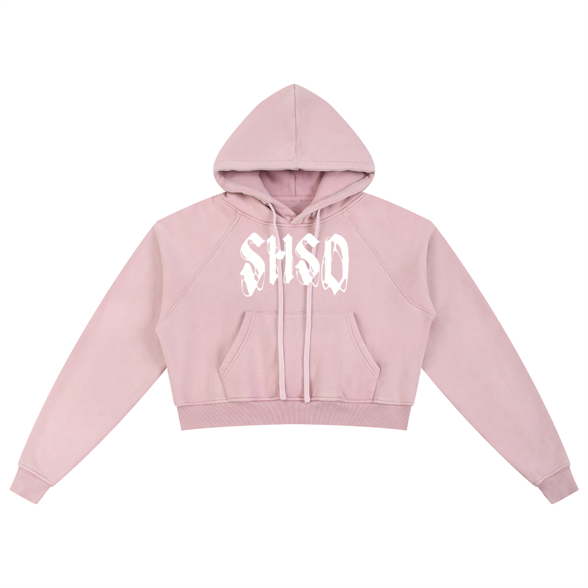"Dead Friends" Snow Washed Crop Hoodie