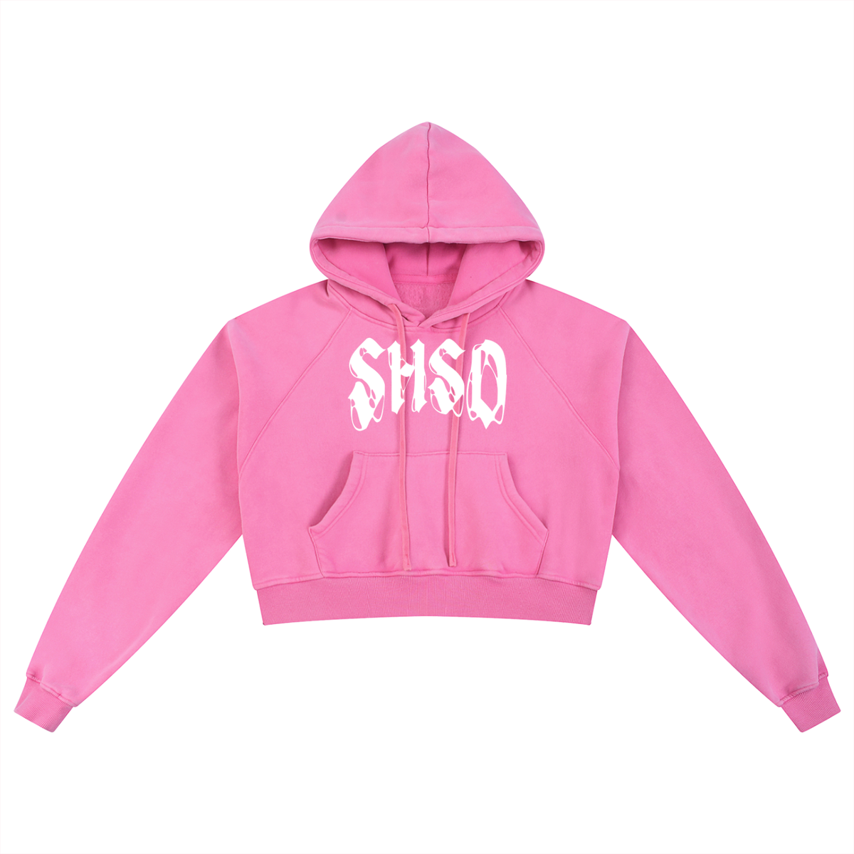 "Dead Friends" Snow Washed Crop Hoodie