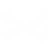 SHSD Clothing - Home