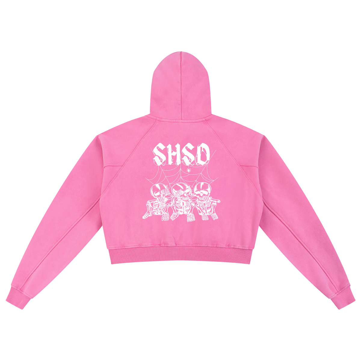 "Dead Friends" Snow Washed Crop Hoodie